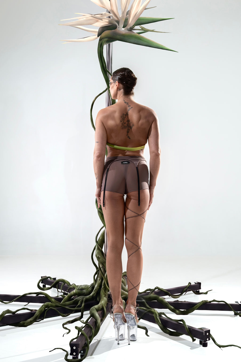 garter belt W | terra