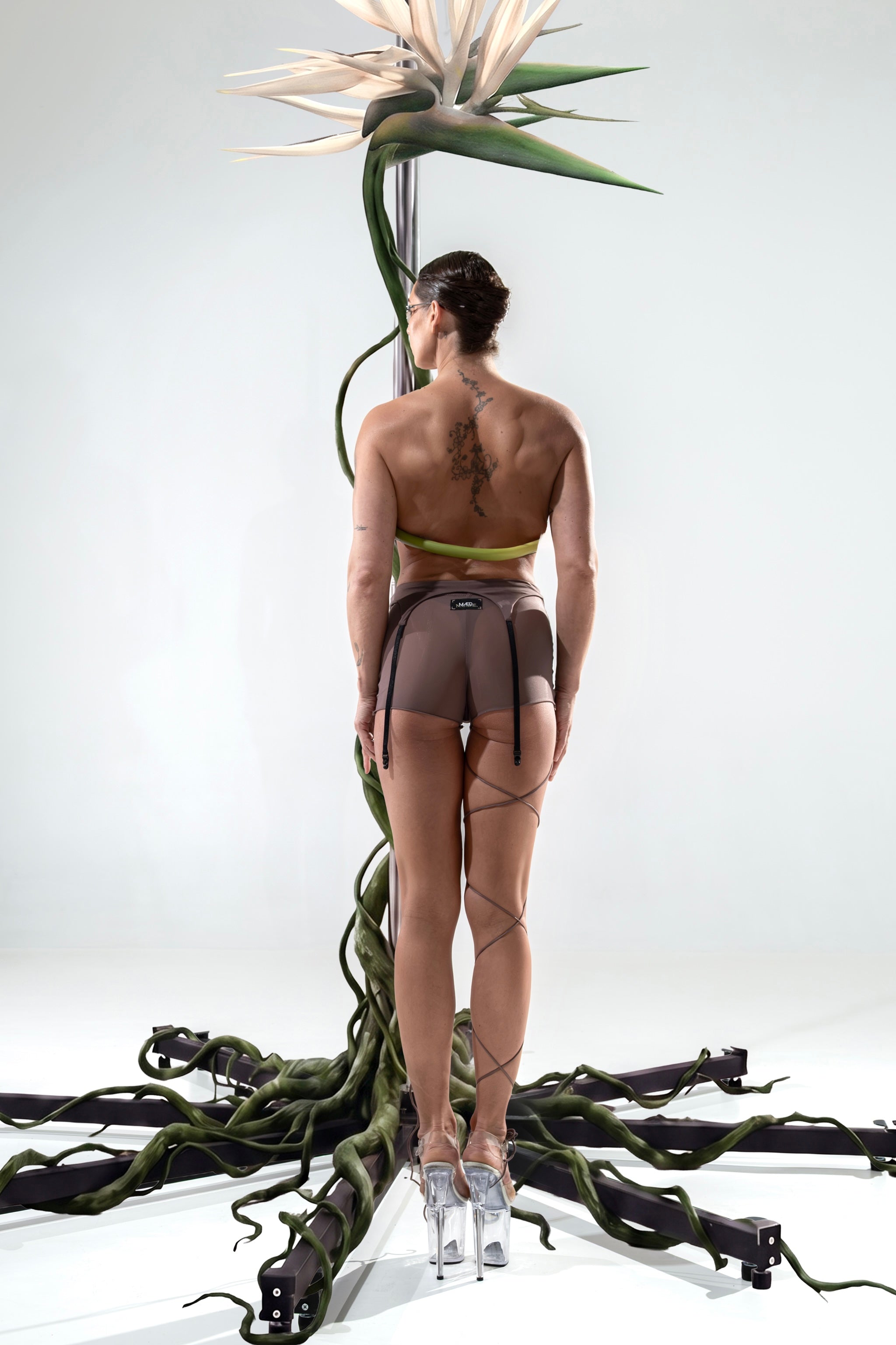 garter belt W | terra