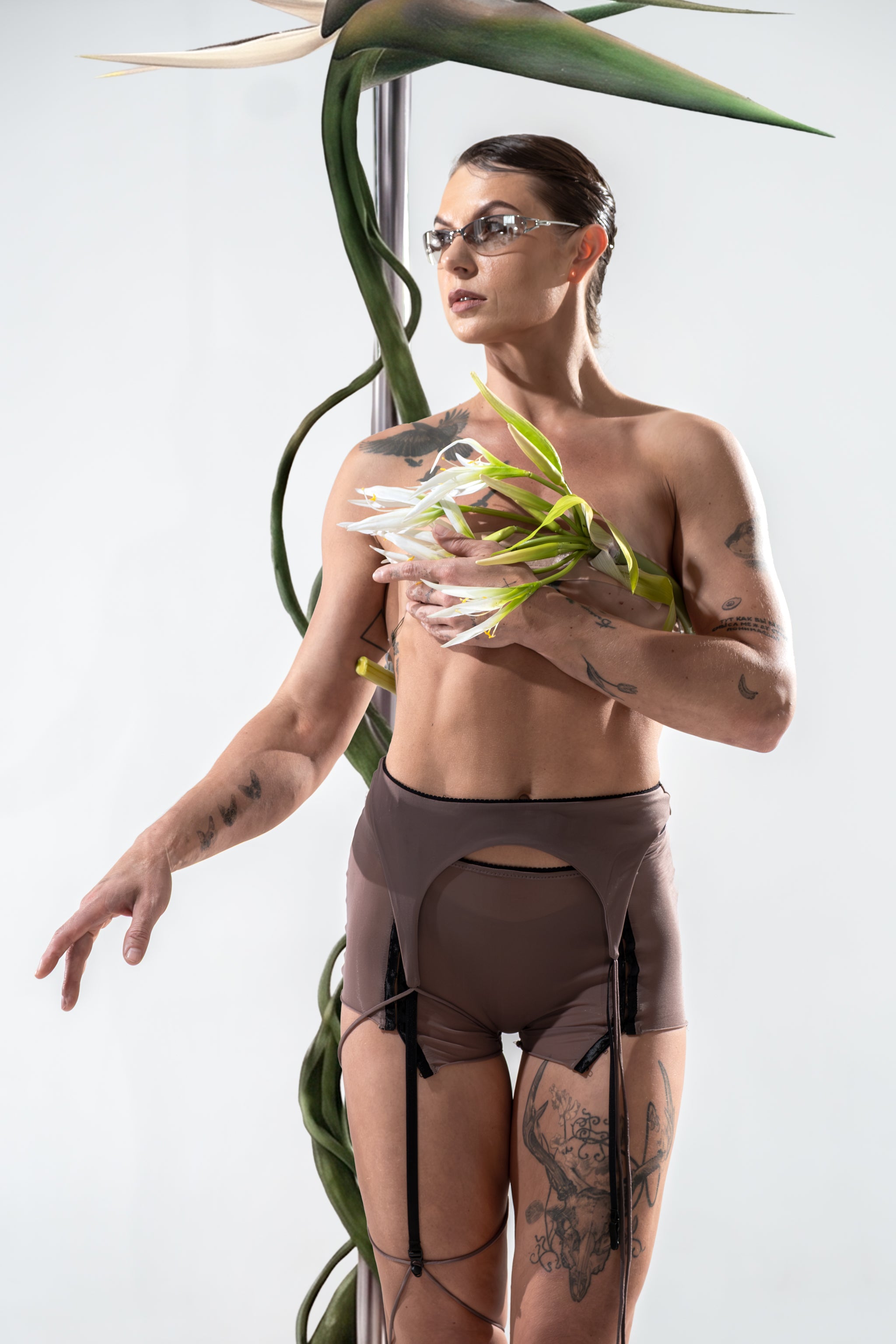 garter belt W | terra
