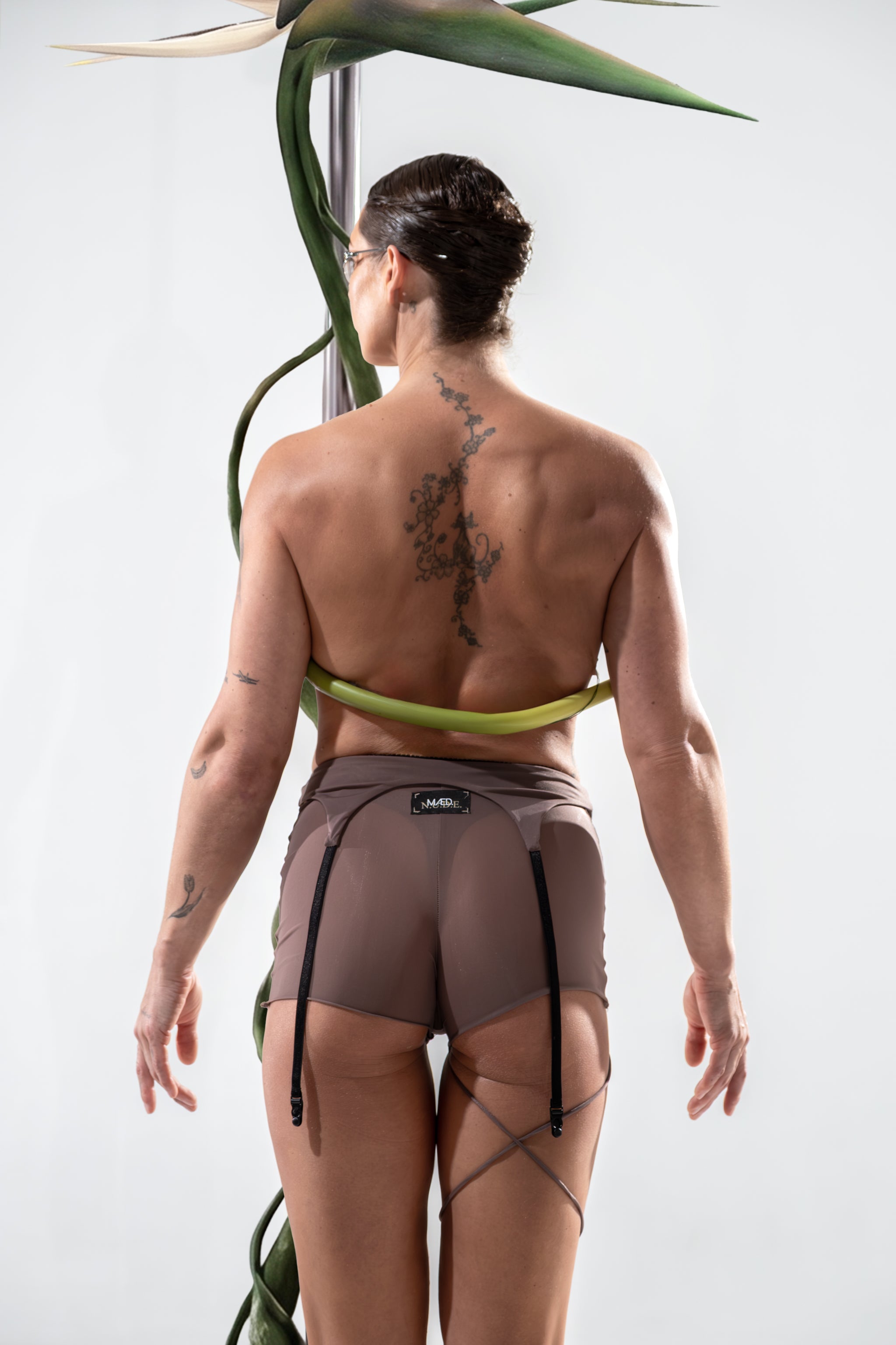 garter belt W | terra